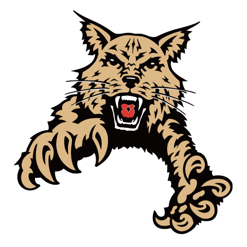 Abilene Christian Wildcats 1997-2012 Partial Logo1 T-shirts Iron
